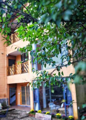 Hostal Beyond The Terrace Residence