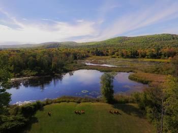Hotel Hampton Inn & Suites Berkshires-lenox