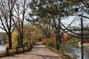Hotel Hampton Inn Chicago-naperville