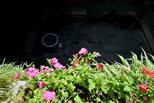 Hostal Yihe Little Yard Guest House
