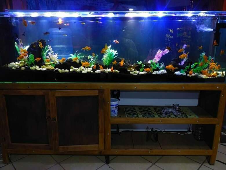 Hotel Casa De Los Arcangeles