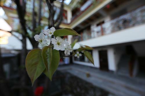 Hostal Lijiang Youluju Guesthouse