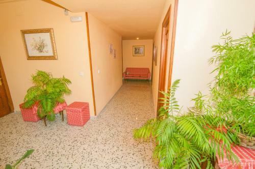 Hotel Costa de Ajo