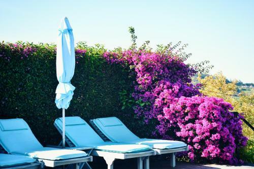 Hotel Quinta De San Amaro