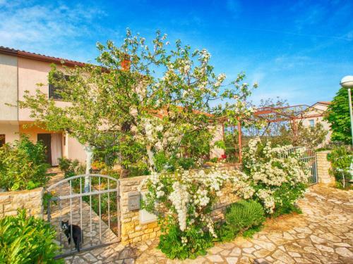 Apartments Dvorine 1210