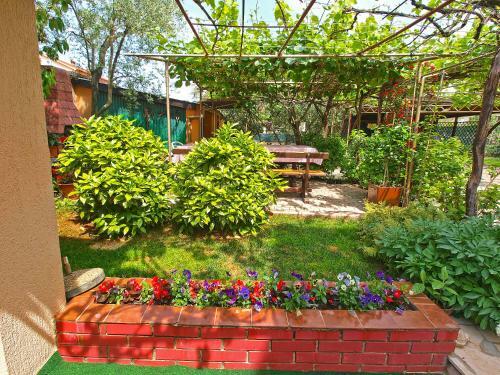 Apartments August 875