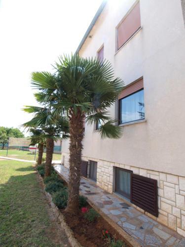 Apartments Gordana 711