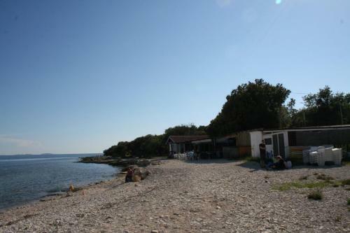 Apartment In Barbariga/istrien 26381