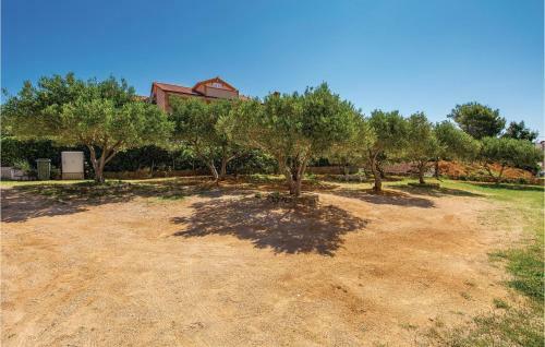 Three-bedroom Apartment In Barbat