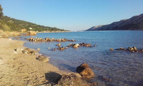 Apartment In Barbat/insel Rab 33683b