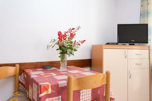 Apartments Zic - Mrakovcic