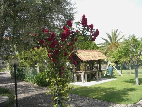 Hotel Quinta Dom Sapo