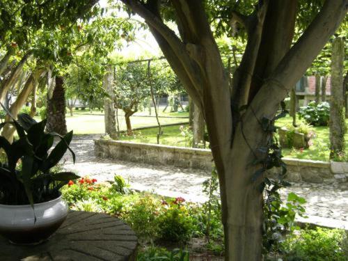 Hotel Quinta Dom Sapo