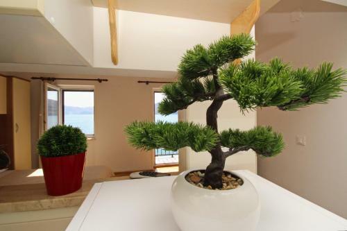 Apartamento Mihovil Studio