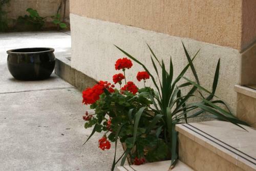 Hostal Double Room Baska Voda 6704g