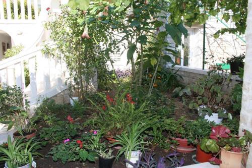 Apartments And Rooms With Wifi Bol (brac) - 2875