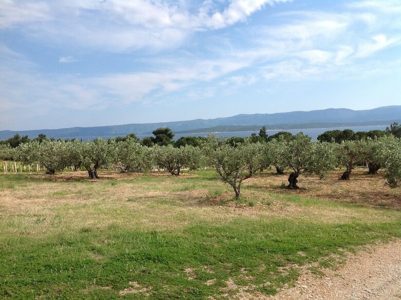 Holiday Home Oliva