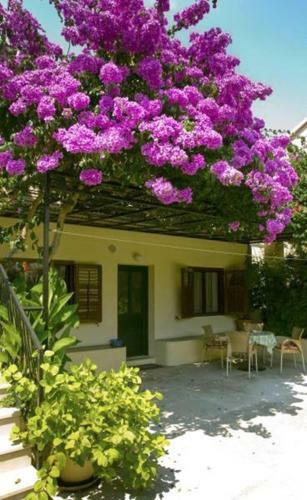 Apartamento Studio In Bol/insel Brac 5954