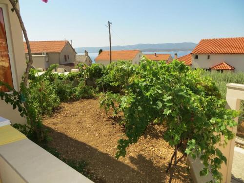 Apartment Bol 13665c