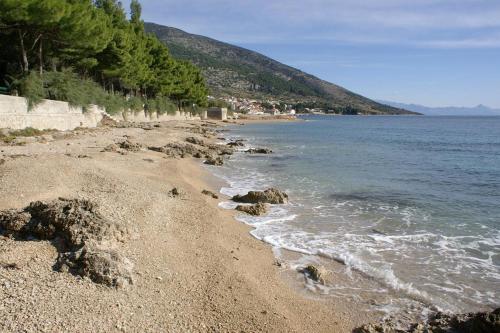 Apartment Bol 12474b