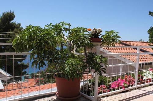 Apartment Brela 6747b