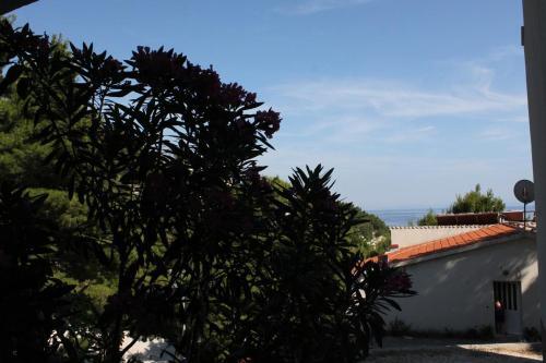 Apartments By The Sea Brela (makarska) - 6688