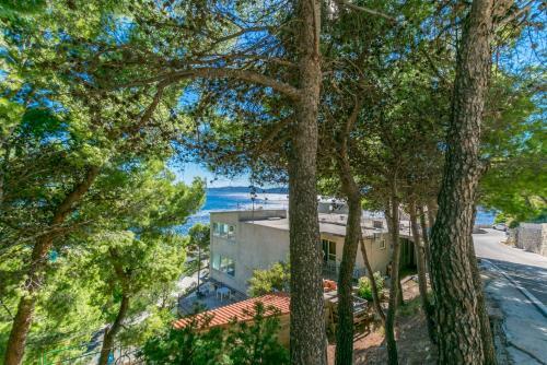 Hostal Apartment And Rooms Lile
