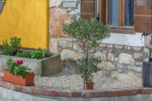 Holiday Home Mandula