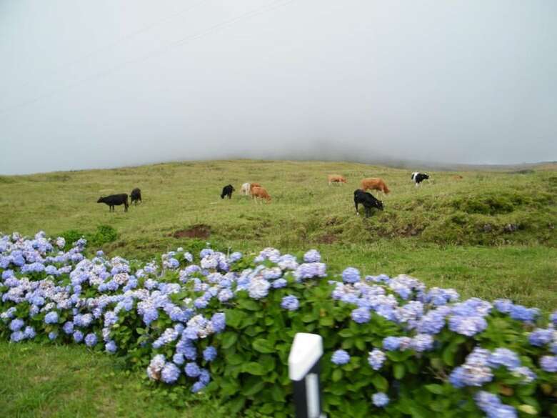 Hotel Inatel Flores