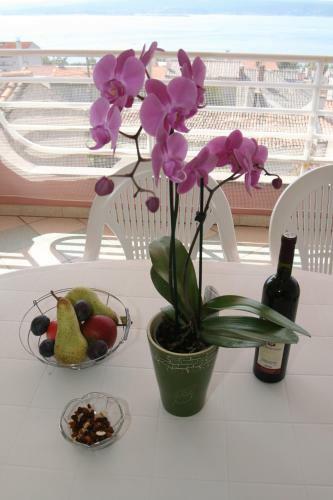 Apartment Ulica Pavla Radica
