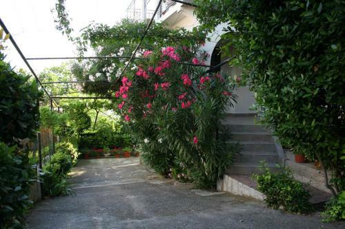 Apartamentos Studio Crikvenica 5555d