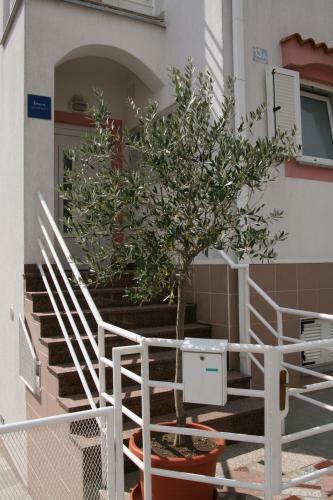 Apartment Ul. Pavla Radica