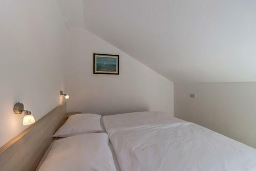 Apartamentos Pineta