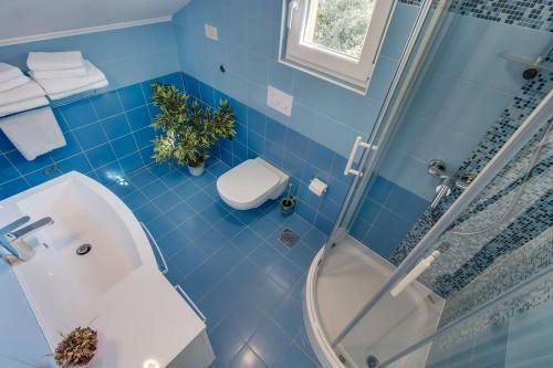 Apartamentos Pineta