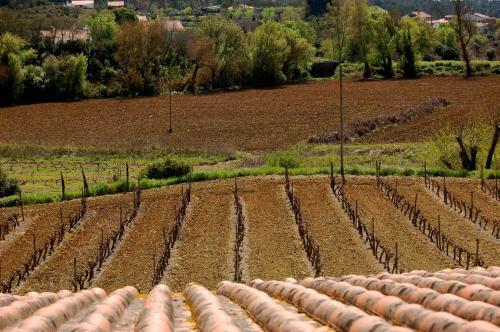 Agroturismo Quinta Da Anunciada Velha