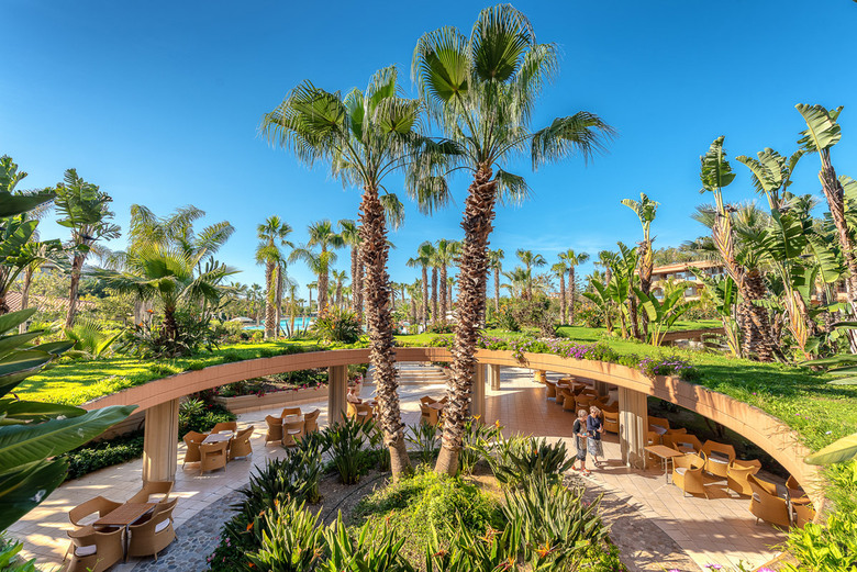 Hotel Acacia Resort