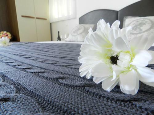 Villa Ulika Yourcroatiaholiday