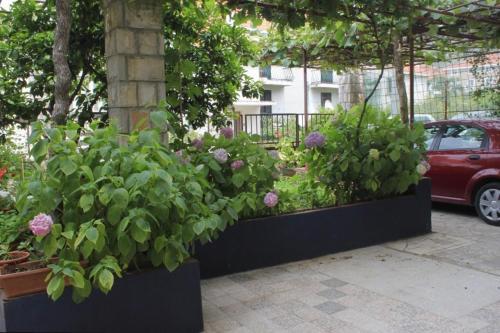 Apartment Dubrovnik 9056a