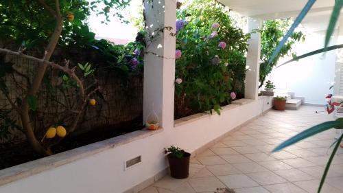 Apartments And Rooms With Parking Space Dubrovnik - 11207