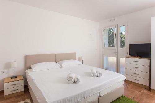 Hostal Guest House Eight Roses