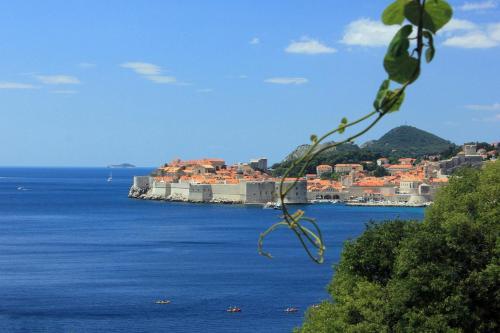 Apartment Dubrovnik 9077e