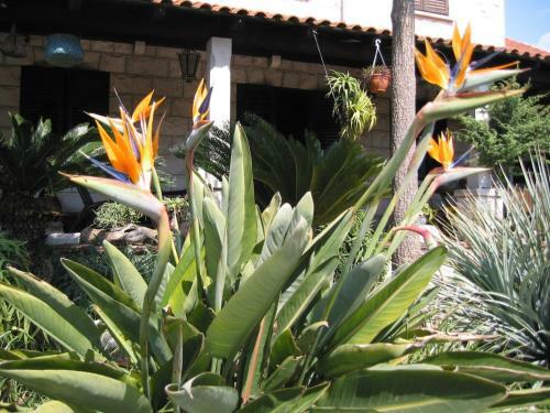 Hostal Guest House Maria Bilicic
