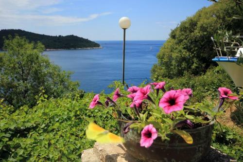 Apartment Dubrovnik 9077d
