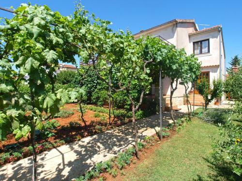 Apartments Velimir 421