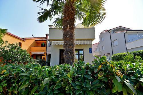 Apartments Drago 589