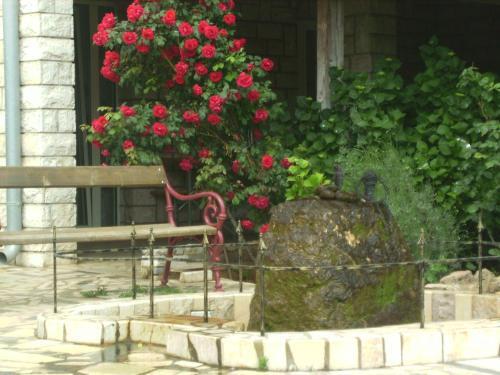 Apartment In Fazana/istrien 33818