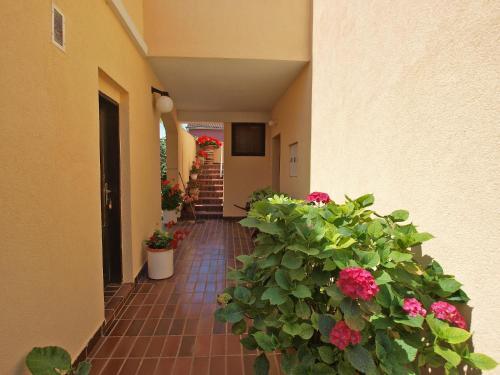 Apartment Luka 953