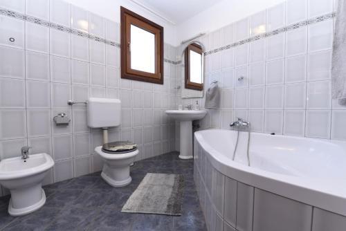 Kamelija Apartments 316