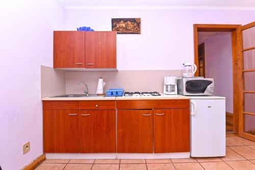 Kamelija Apartments 316