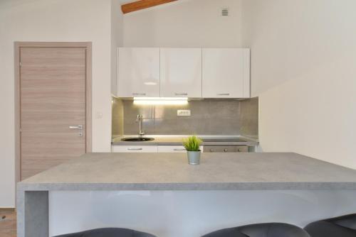 Apartments Stana 1020